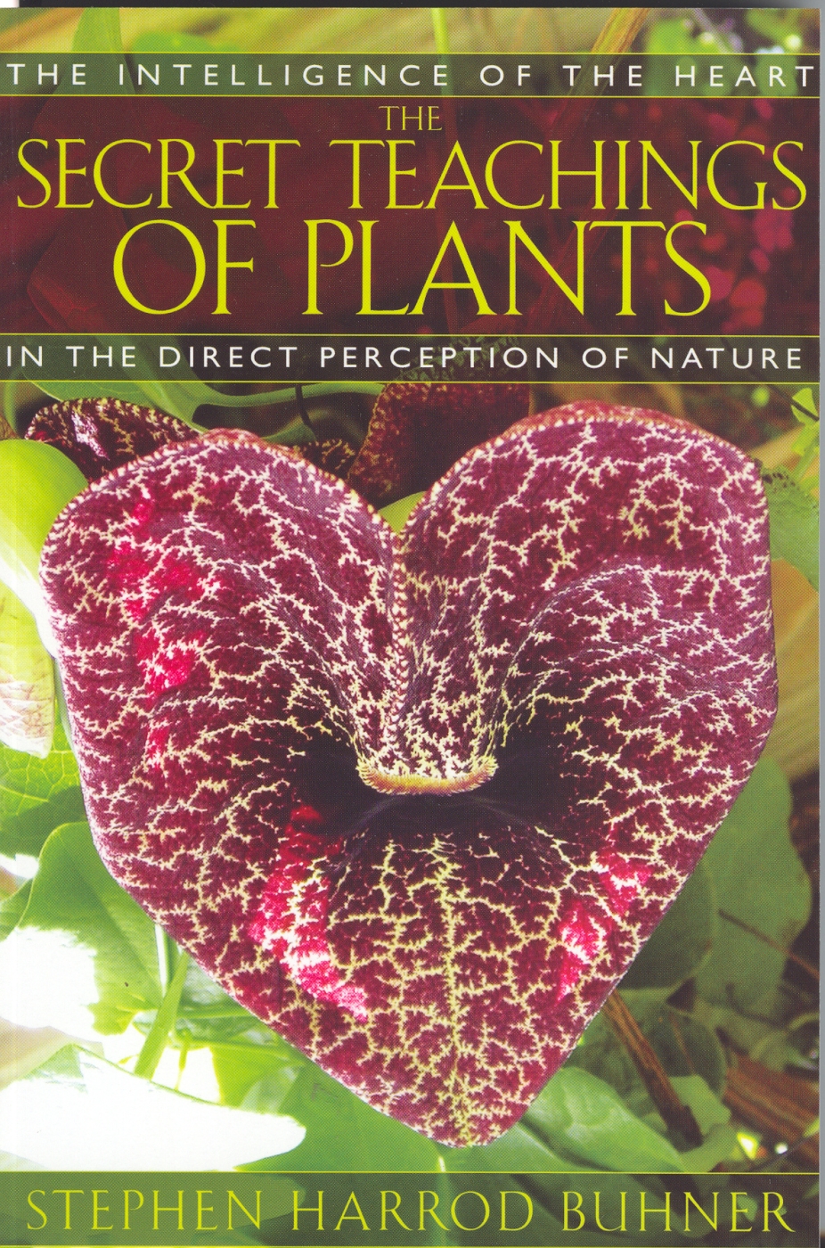 Secret Teachings of Plants